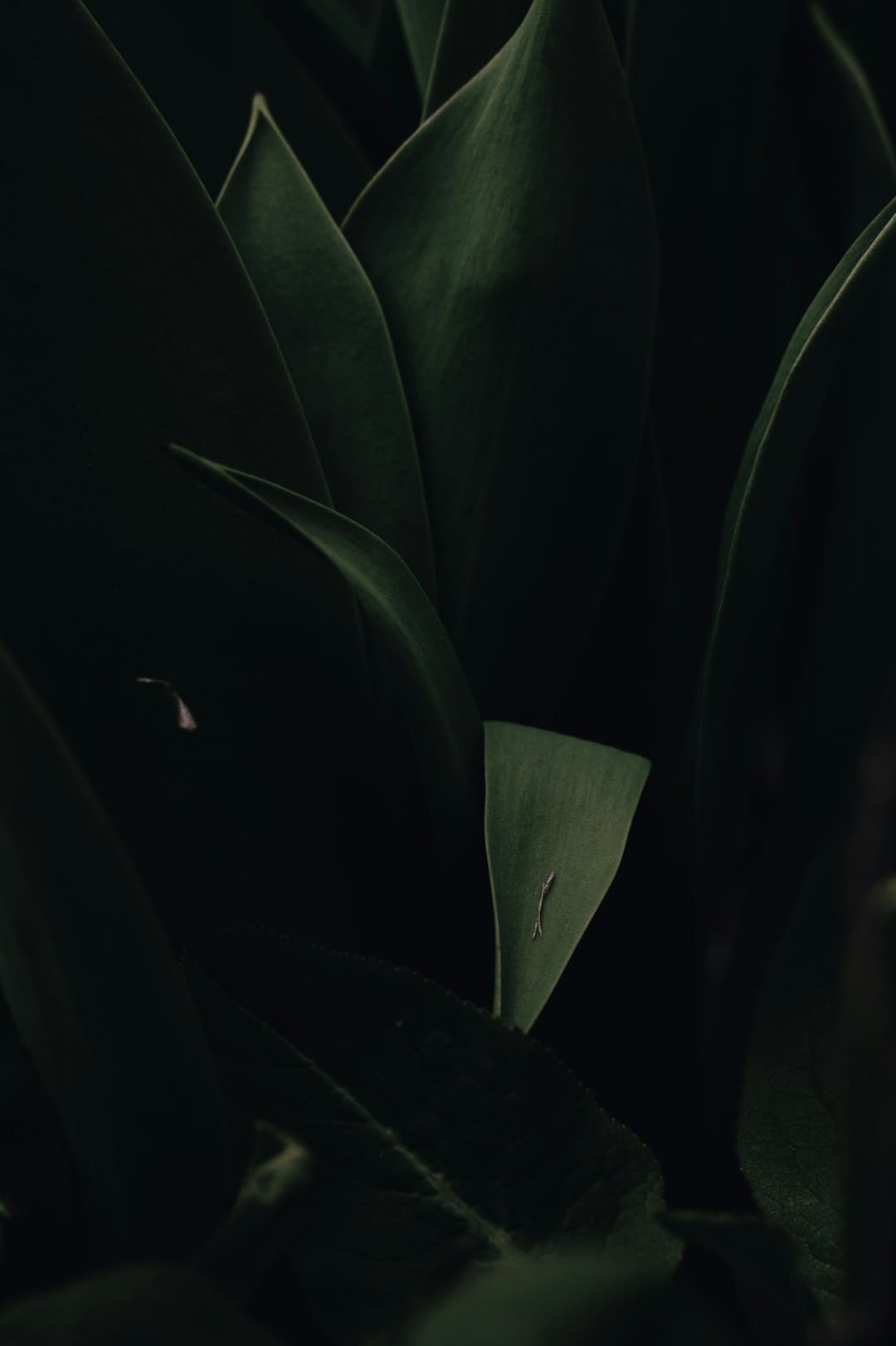 商业头条No.90